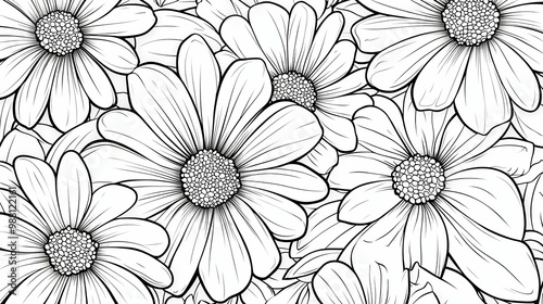 Wallpaper Mural Detailed Black and White Drawing of Daisies Torontodigital.ca