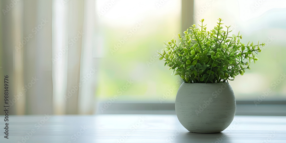 Minimalist Potted Plant on Light Blue Background Minimalist Potted Plant on Light Blue Background