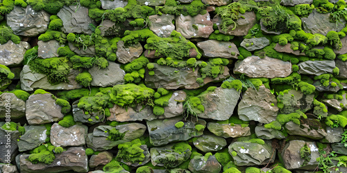 Sunlit Garden Pathway with Stone Tiles and Lush Greenery