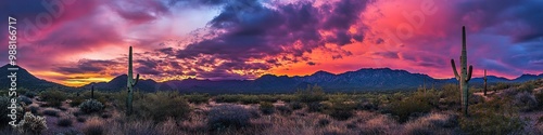 panoramic view of the Arizona desert at sunset