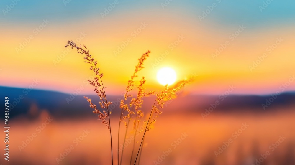Fototapeta premium Wild grass sways gently as the sun sets, painting the sky in warm hues of orange and yellow over the serene field