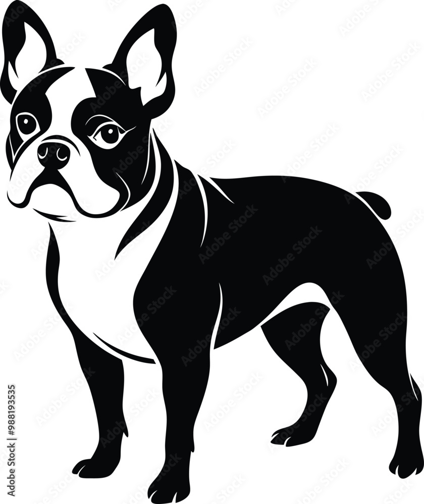 Black and White French Bulldog Silhouette. Black and White French Bulldog Silhouette.