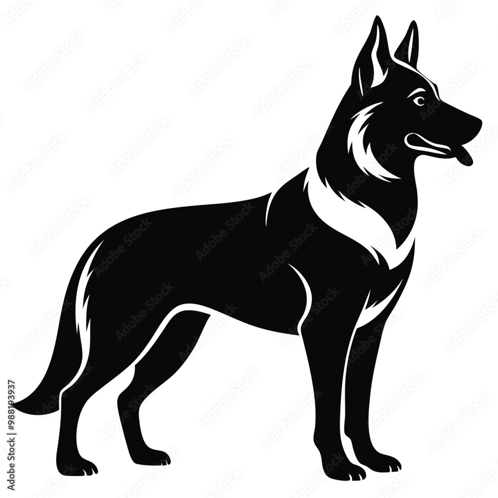 Fototapeta premium Black and White German Shepherd Silhouette.