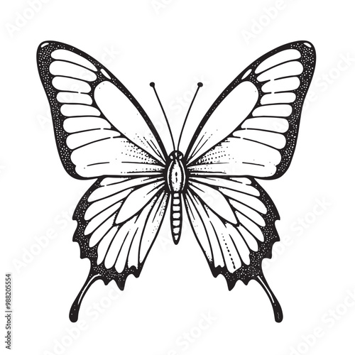 a black and white drawing of a butterfly