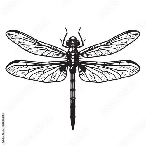 a black and white drawing of a dragonfly