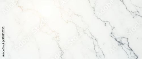 White Marble Texture with Delicate Veins