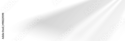 Glare from the sun's rays on the wall. Blurred shadows from leaves and plants in the room. Soft overlay of natural light. Abstract background for product