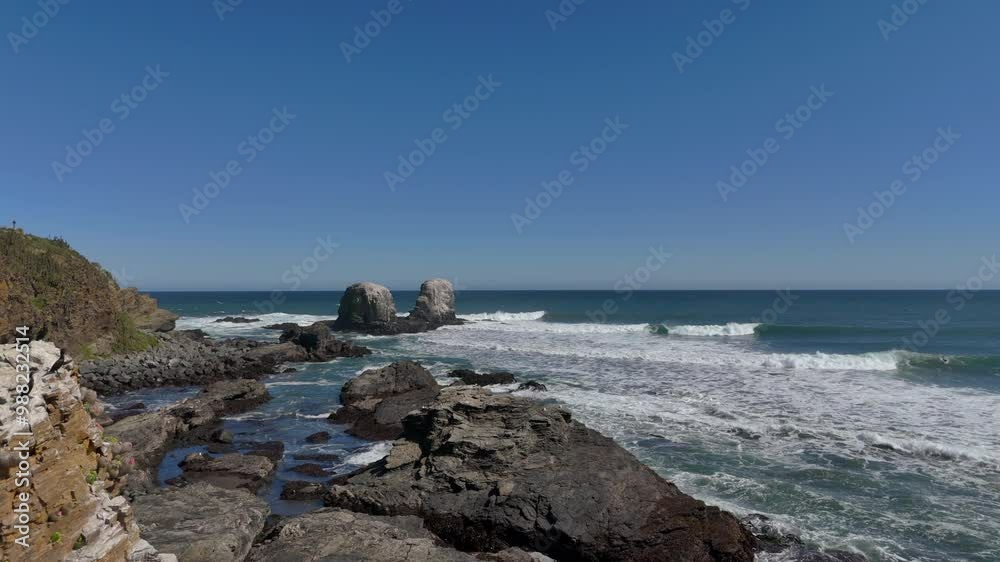 Cliff on the seashore surrounded by cactus, sea birds, wave area for surfing on a sunny day Cliff on the seashore surrounded by cactus, sea birds, wave area for surfing on a sunny day