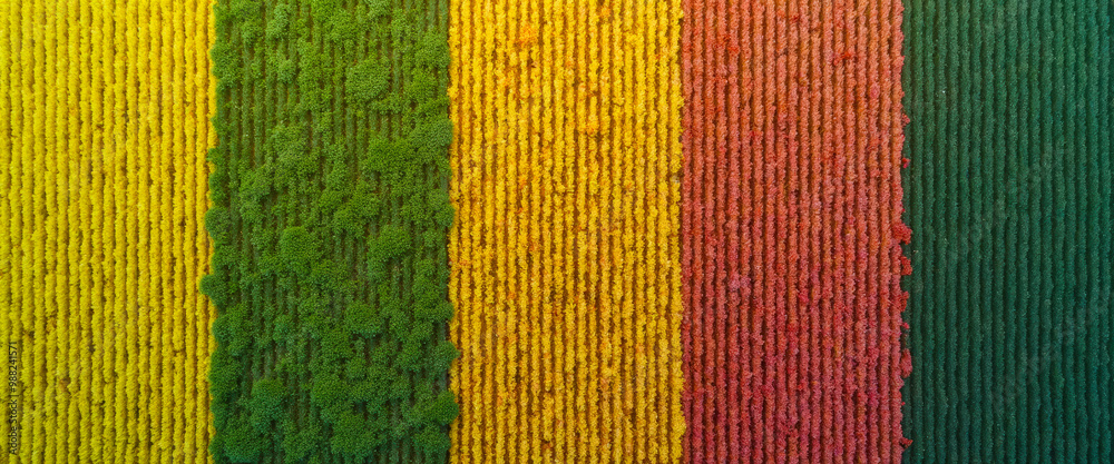 Obraz premium Aerial view of colorful agricultural fields