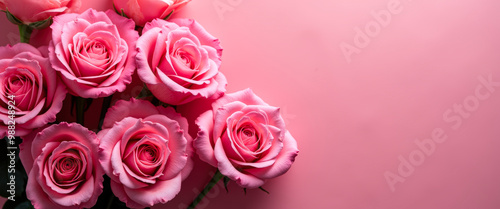 Close Up Of Pink Roses On Pink Background