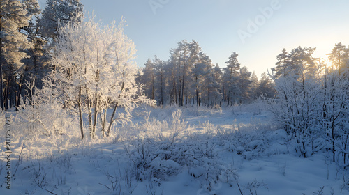 2025 Winter Forest Inspirations: Embracing the Serenity of Nature