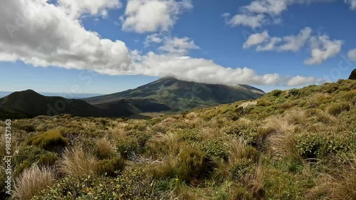 Scenic Views of Pouakai Tarns and Mount Taranaki : Alpine Landscape and Native Flora in Taranaki, New Zealand photo