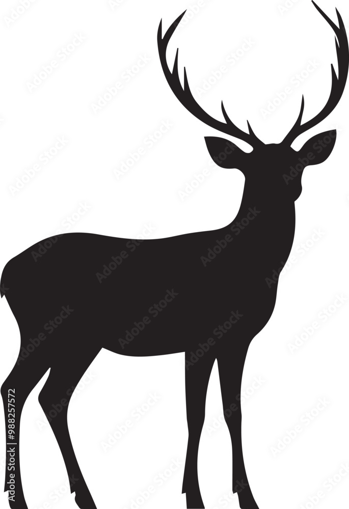 Fototapeta premium silhouette of deer