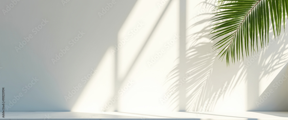 Minimalist White Wall with Palm Tree Shadow and Shelf Minimalist White Wall with Palm Tree Shadow and Shelf