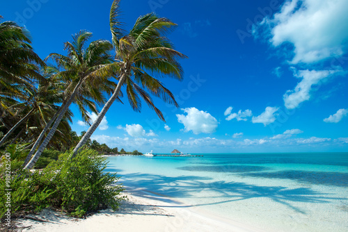 Fototapeta Naklejka Na Ścianę i Meble -  Summer beach landscape. Tropical island paradise. Tropical white sand beach with coco palms. Sand, blue sea water, turquoise ocean, sun sky white clouds