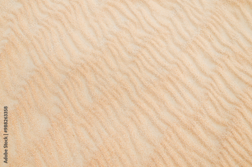 Obraz premium Sand with natural pattern. Beach sand background with natural wave pattern