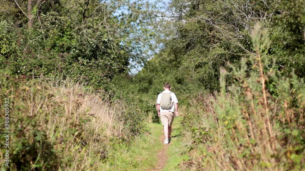Hiker Walking on Nature Trail Hiker Walking on Nature Trail