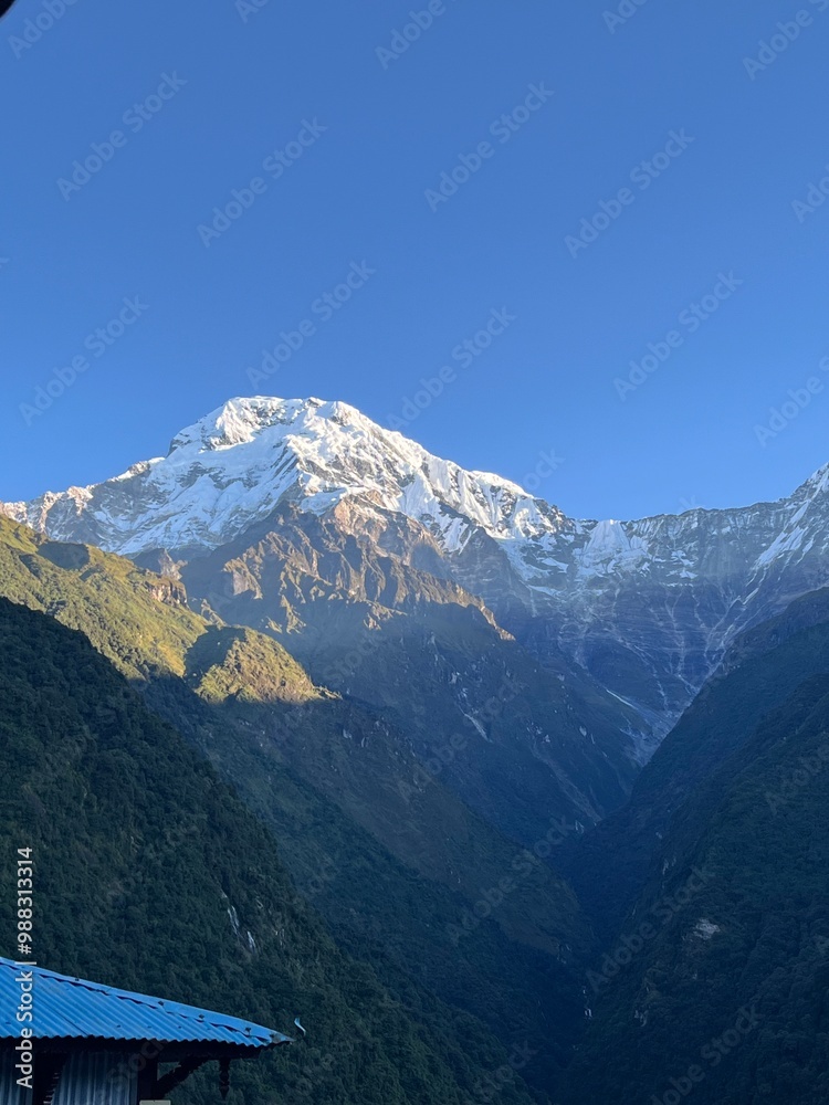 himaleje nepal