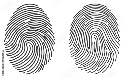 Realistic Fingerprint Vector Illustration - Unique Detailed Biometric Pattern.