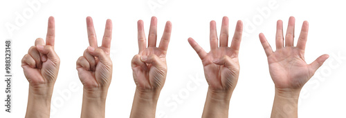 Group of hand show one, two, three, four and five finger gesture for counting number in communication signal concept. Background cutout object.