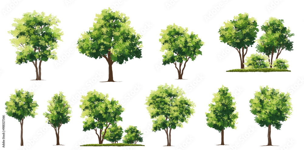 Vector of green tree side view isolated on white background ,watercolor tree elevation for landscape concept,environment scene,eco design, garden for spring Vector of green tree side view isolated on white background ,watercolor tree elevation for landscape concept,environment scene,eco design, garden for spring