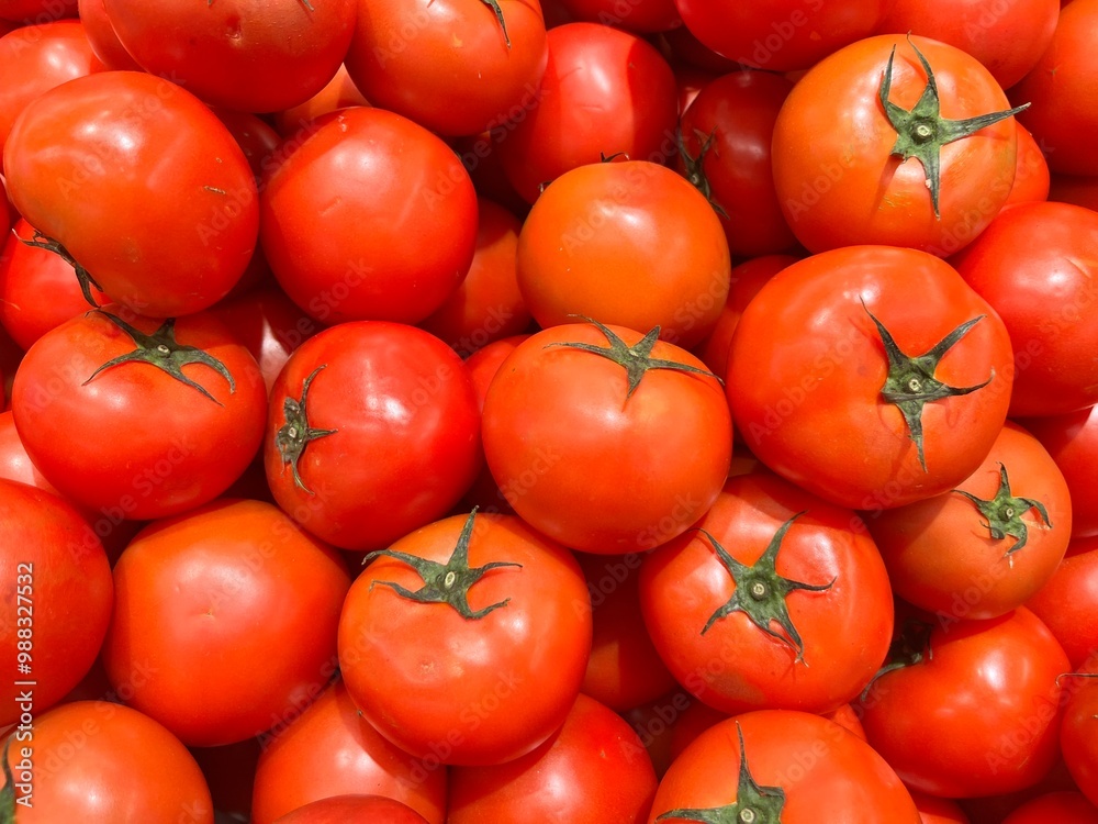 Many tomatoes healthy on supermarket Many tomatoes healthy on supermarket