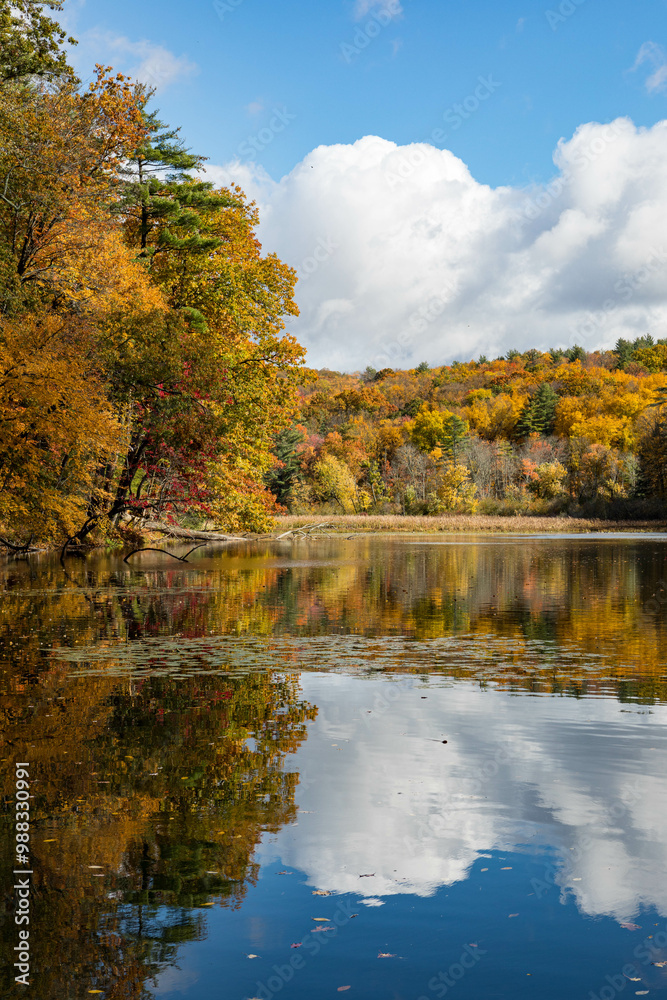 Calm pond surrounded by autumn foliage on a sunny day in New Hampshire
