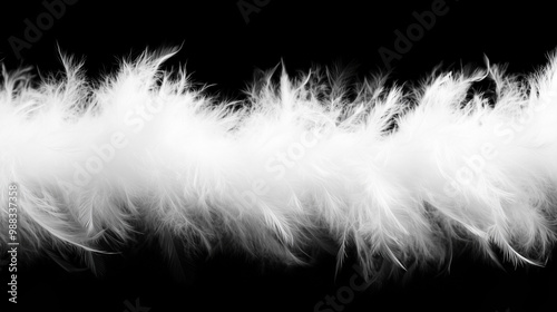 Wallpaper Mural White feather boa isolated on black background, party isolated png like style.. Isolated on black background png like style. Created using Generative AI Technology
 Torontodigital.ca
