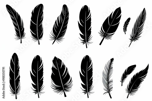 Feather icon, animal feathers isolated, black plume symbol, minimal plume silhouette on white