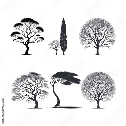 Elm Tree silhouette