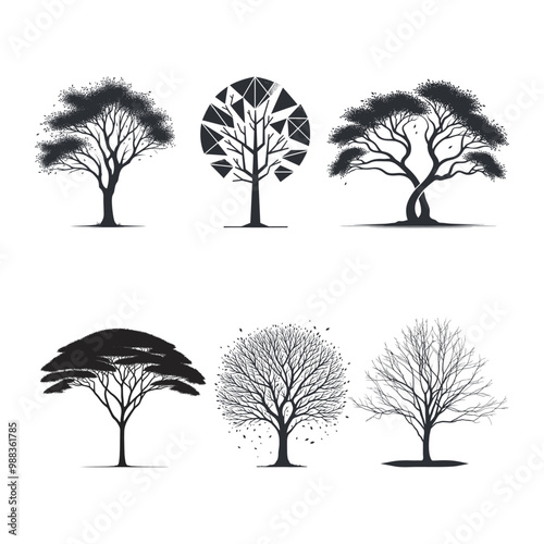 Elm Tree silhouette