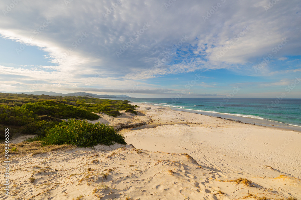 Panoramic views across white sandy Friendly Beaches in Tasmania, Australia Panoramic views across white sandy Friendly Beaches in Tasmania, Australia