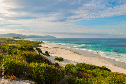 Fototapeta Naklejka Na Ścianę i Meble -  Panoramic views across white sandy Friendly Beaches in Tasmania, Australia