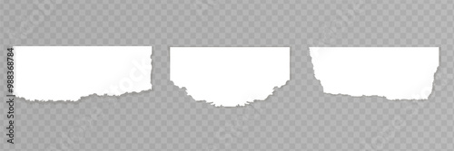 White torn paper tears pieces collection isolated with soft shadows realistic vector illustration