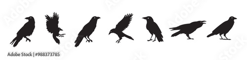 Crow isolated black silhouette set. Crows, raven halloween Dark birds icon clipart