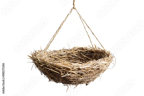 bird nest isolated on white background photo