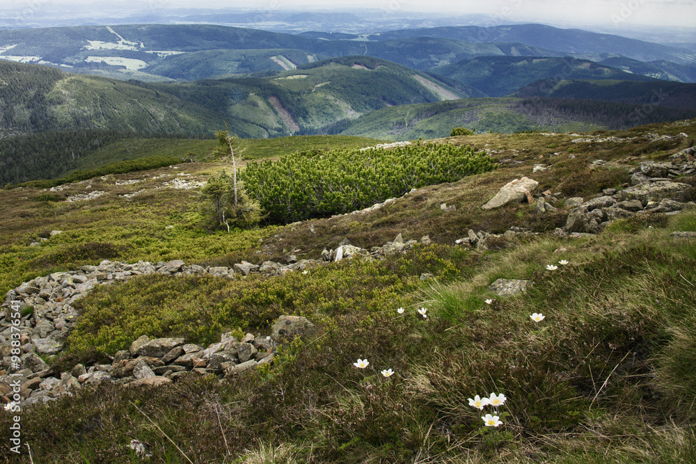 Fototapeta premium landscape in the mountains