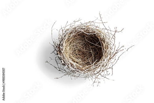Bird nest isolated.