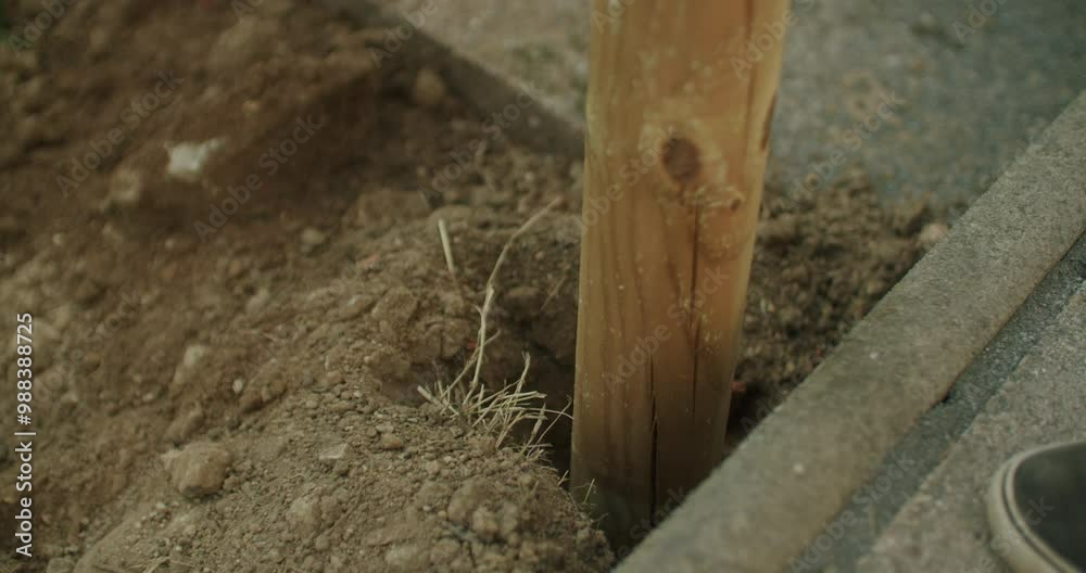 Handheld close up shot of a female ramming a pole into the earth. Freshly digged hole. Woman building a fence in the garden, Handheld close up shot of a female ramming a pole into the earth. Freshly digged hole. Woman building a fence in the garden,