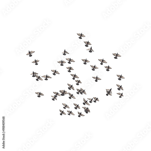 Flocking Birds PNG