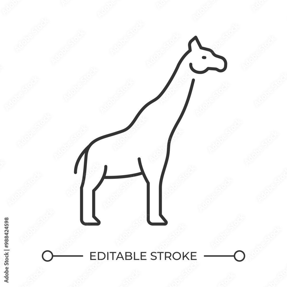 Giraffe linear icon. Long neck tall animal. African fauna. Wildlife. Savannah animal. Herbivore wild animal. Thin line illustration. Contour symbol. Vector outline drawing. Editable stroke Giraffe linear icon. Long neck tall animal. African fauna. Wildlife. Savannah animal. Herbivore wild animal. Thin line illustration. Contour symbol. Vector outline drawing. Editable stroke