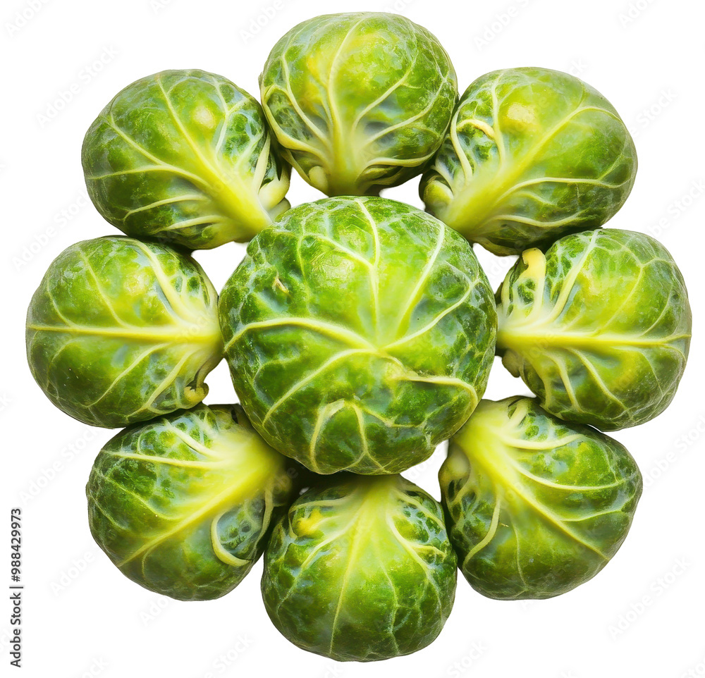 Obraz premium Top view of Brussel sprouts cluster on transparent background. Small green vegetables with tightly packed leaves.