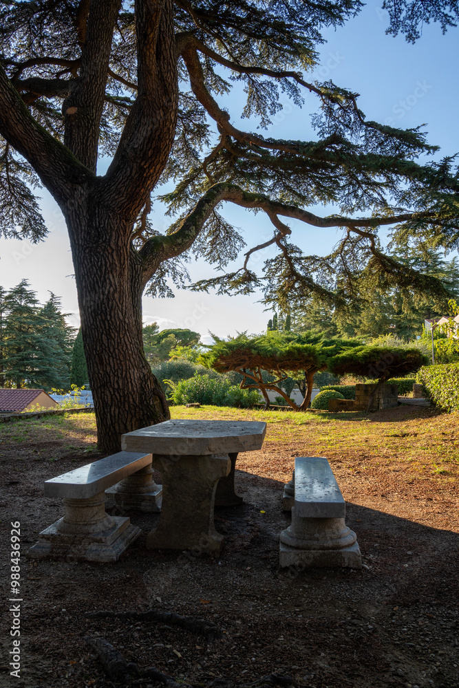 Sitzplatz in Garten unter großem Baum Sitzplatz in Garten unter großem Baum