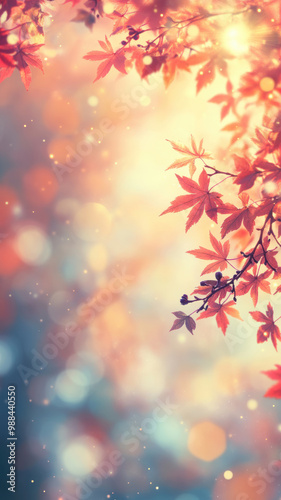 Red maple leaves in autumn sunlight