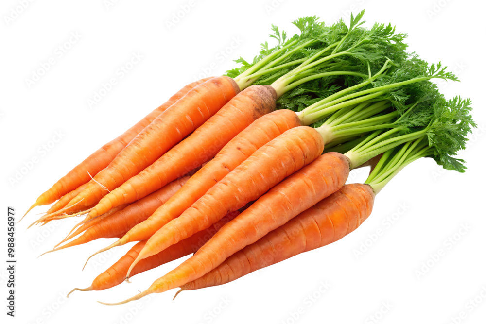 A bunch of fresh carrots with green tops, slightly overlapping, emphasizing their natural texture and bright, crisp appearance, on a transparent background A bunch of fresh carrots with green tops, slightly overlapping, emphasizing their natural texture and bright, crisp appearance, on a transparent background