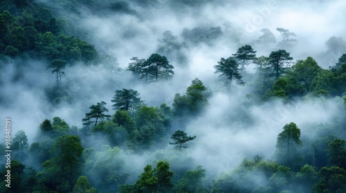 Misty Forest Landscape with Lush Green Trees and Dense Fog in a Serene Mountainous Area