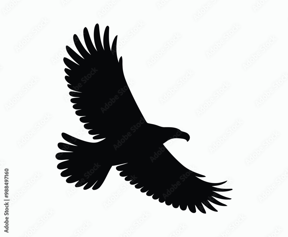 Fototapeta premium Bald eagle silhouette EPS vector isolated illustration and icon template on a white background