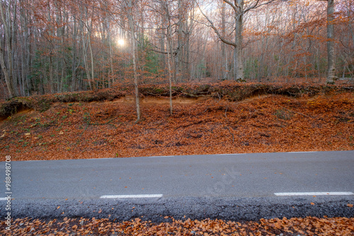 A captivating scene of a roadside lined with trees covered in orange autumn leaves, showcasing the contrast between nature and human infrastructure during the fall season in Montseny Spain photo