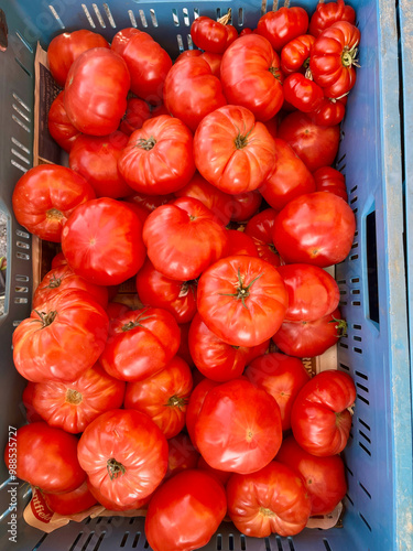 Fresh red tomato in farmer's market. Naplavka market in Prague photo