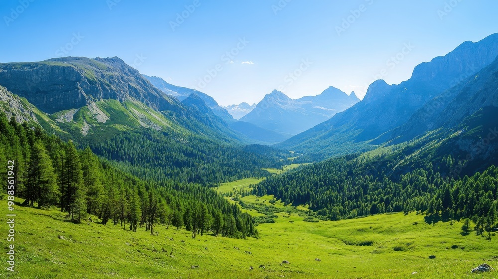 Majestic mountain scenery with green forests and a peaceful valley stretching into the distance under a clear blue sky.
